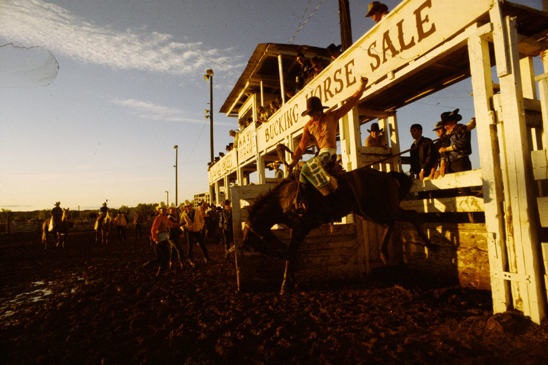 Miles City Bucking Horse Sale, 1978